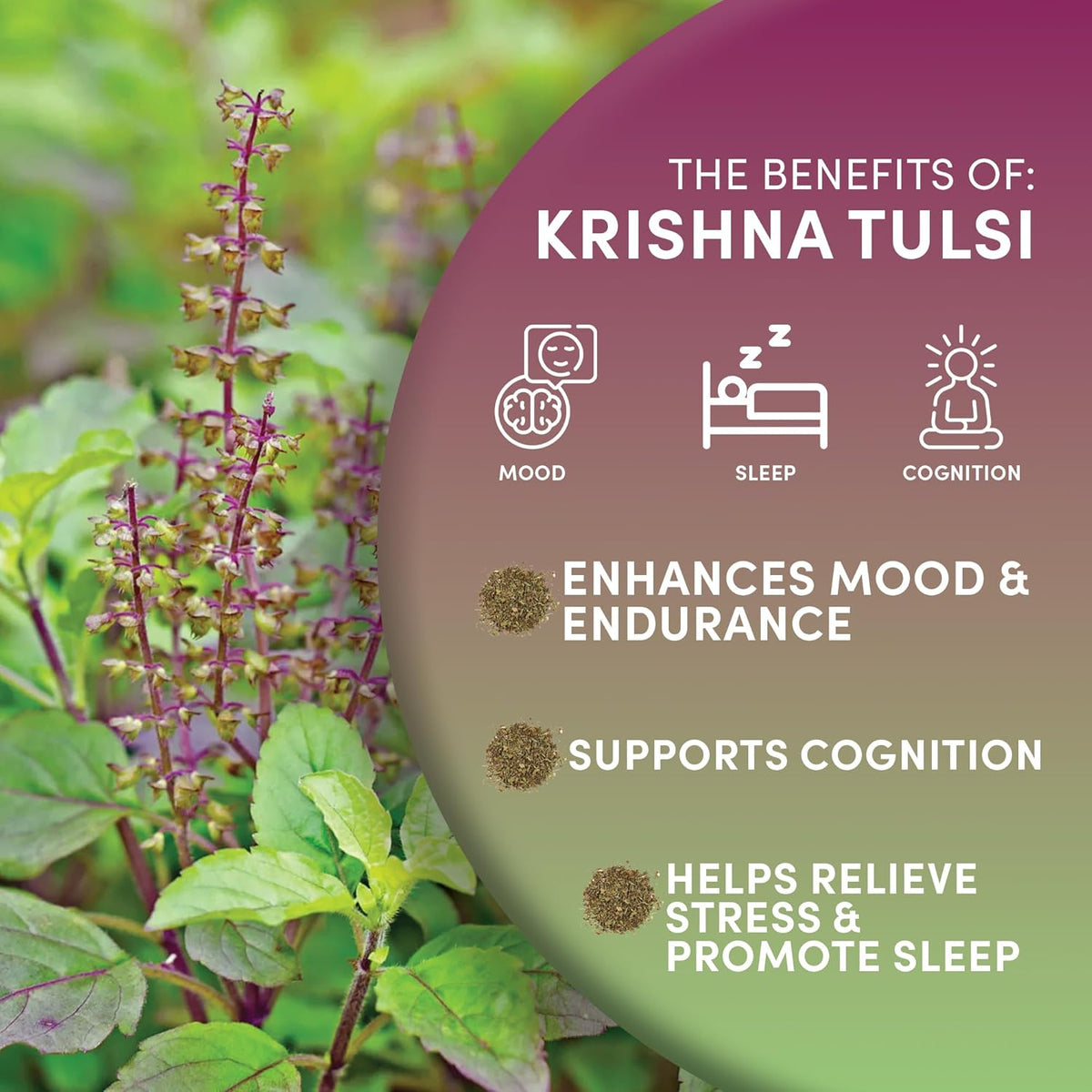 Organic Holy Basil Tea, 8Oz - Tulsi Krishna - Loose Leaf Premium Herbal Tea, 100% Pure Tulsi Holy Basil, Fair Trade, Adaptogenic, Kosher