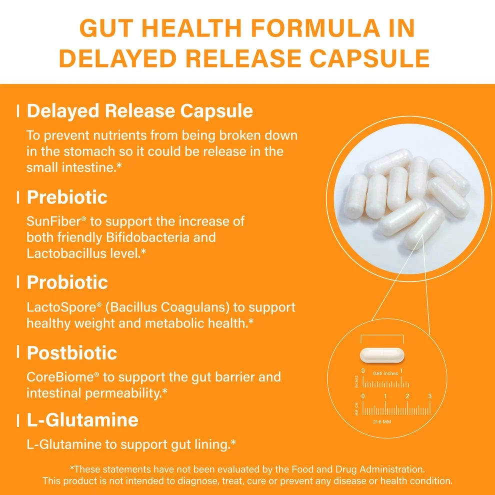 Gut Health Supplement, with Prebiotics + Probiotics + Postbiotic + L-Glutamine, 120 Ct