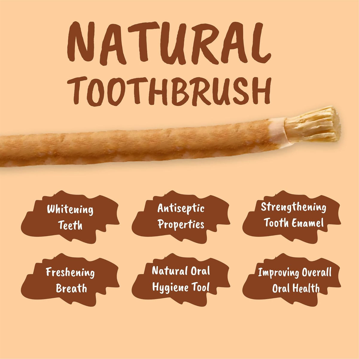 Miswak Stick for Teeth - Vacuum-Sealed Chewing Sticks, No Toothpaste Needed, Also Known as Siwak, Meswak, or مسواك | Pack of 3 Miswak Sticks with Holder