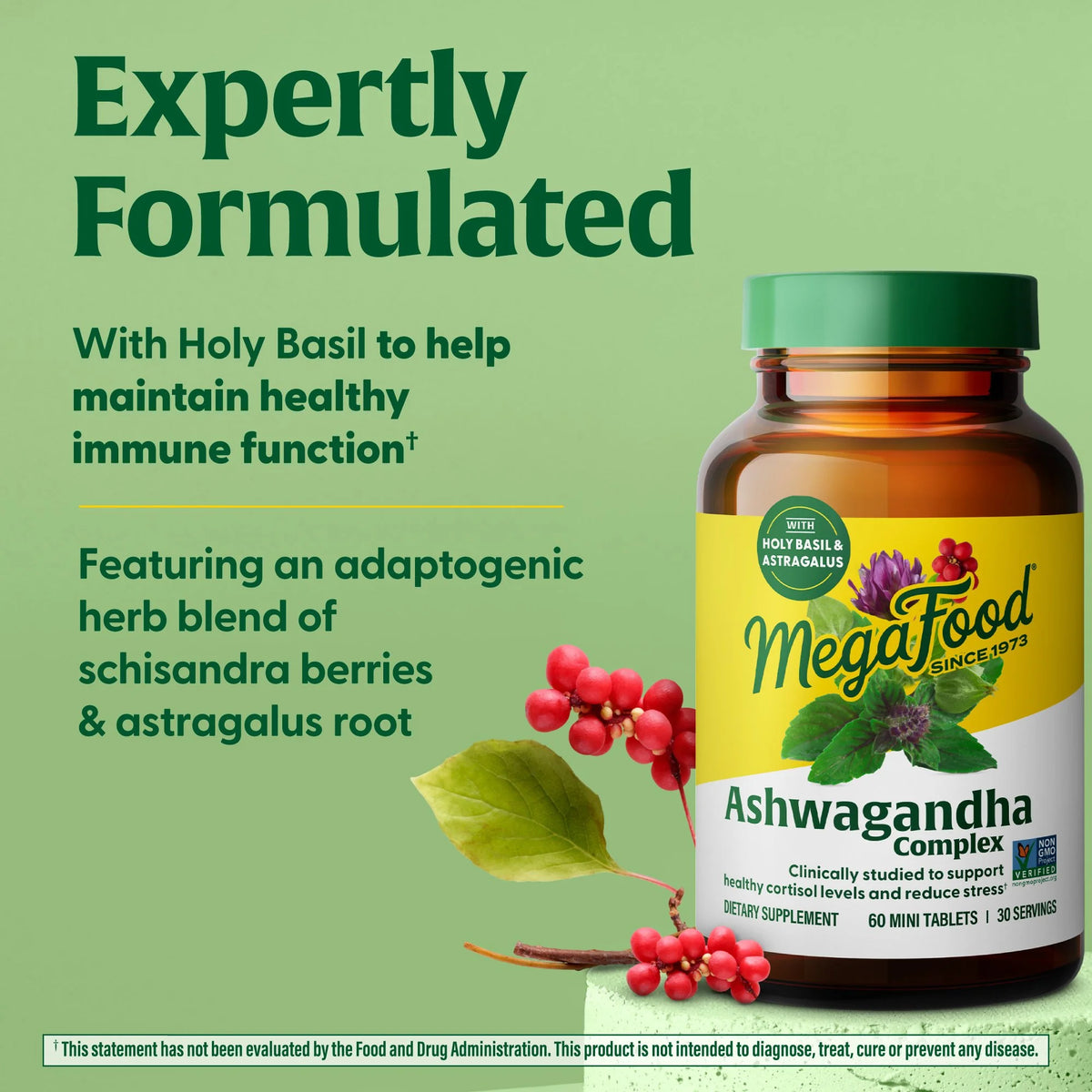 Ashwagandha Complex (Formerly Stress Protect) - Cortisol Support - 30 Servings